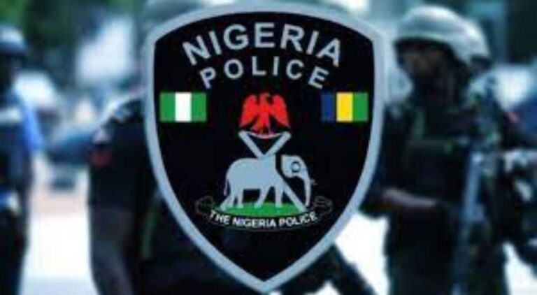 Police releases details about man who breached protocol during Tinubu’s Kaduna visit
