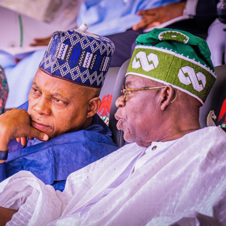 Presidency reveals when Tinubu will choose his running mate