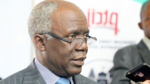 falana.jpeg