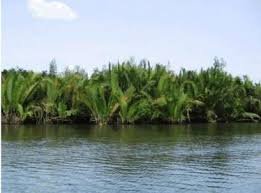 Disputed forest reserve: A’Ibom oil community accuses CSO of fueling tension