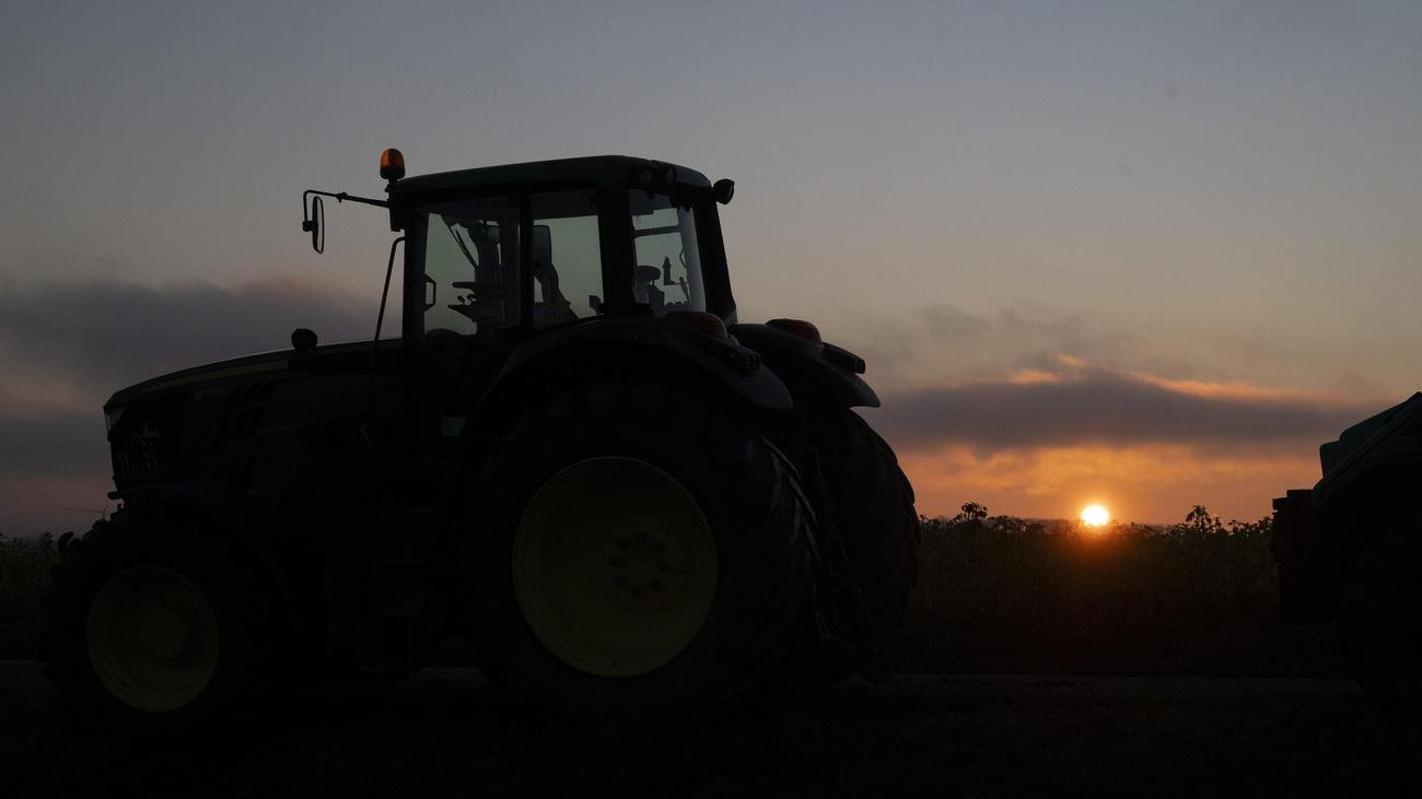 EU-Mercosur agreement: EU agrees on protective clauses for agricultural imports